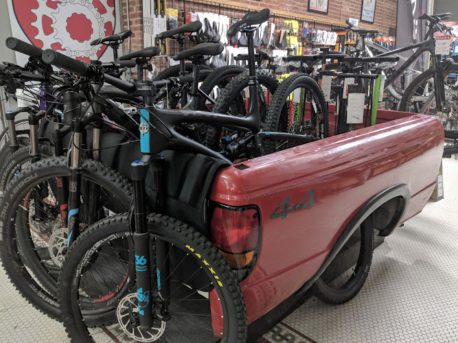Phat Tire Bike Shop