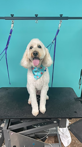 Raising the Bark LLC
