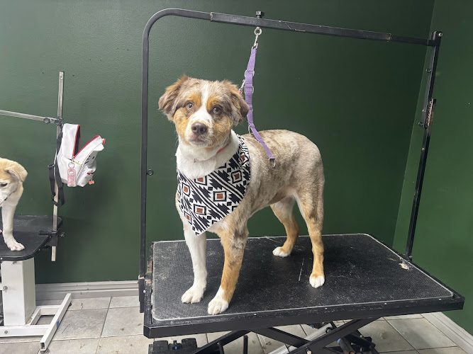 Bark Alley Pet Grooming