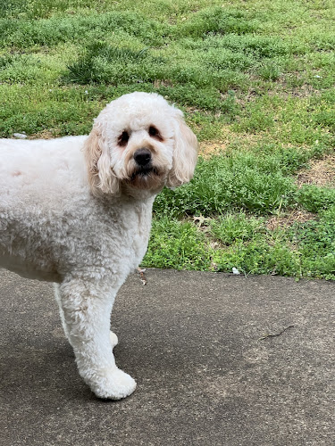 Whole Pet - Bentonville