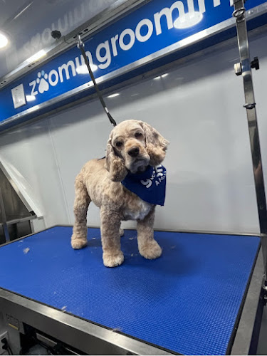 Zoomin Groomin