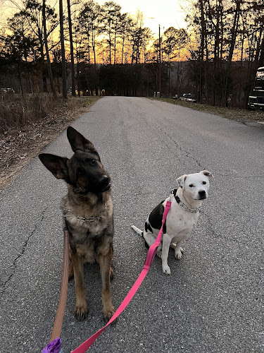 Canine Cabins Resort