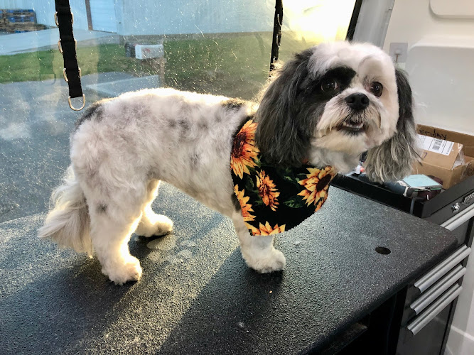 Aussie Pet Mobile of Northwest Arkansas