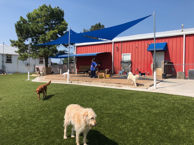 Dog Party USA