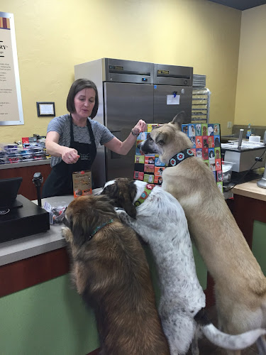 Drooly's Dog Bakery