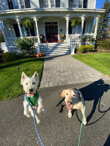 Happy Trails Professional Pet Sitting & Dog Walking Services LLC