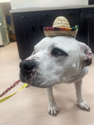 Northwest Arkansas Animal Urgent Care