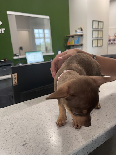 Animal Medical Center at Pinnacle Hills