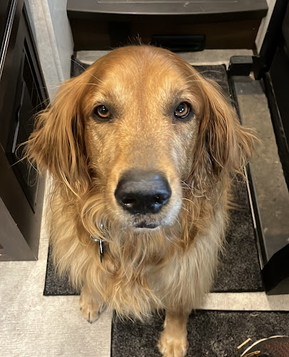 Cave Springs Veterinary Services