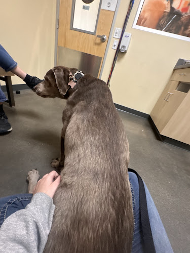 Vetco Total Care Animal Hospital