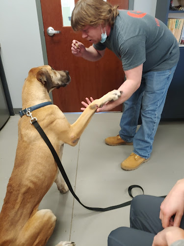 Village Pet Hospital: Hayden Patrick DVM