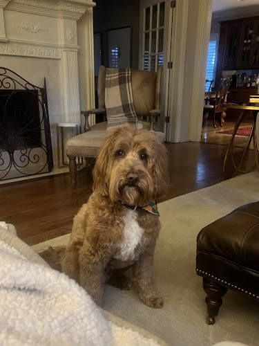 Barbs Happy Pets of Springdale, Arkansas