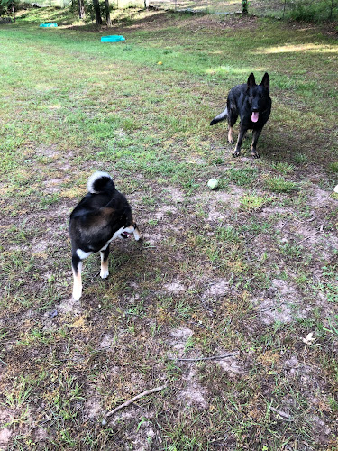 Uncle Billy's Pet Boarding