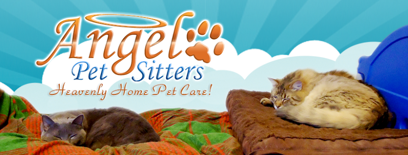 Angel Pet Sitters