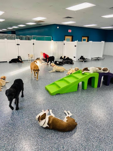Hounds Hideaway Rogers
