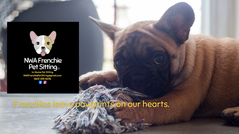 NWA Frenchie Pet Sitting