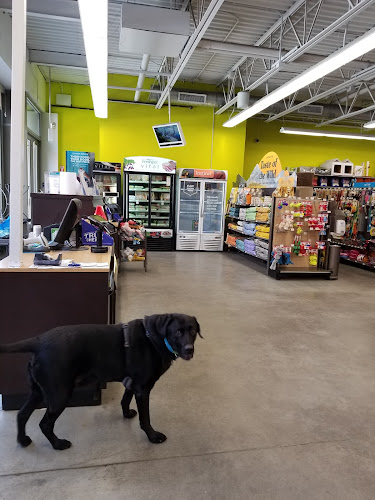 Unleashed by Petco