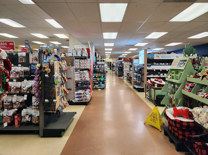 Petco