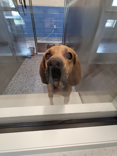 Bentonville Animal Services