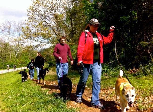 Solgave Animal Solutions