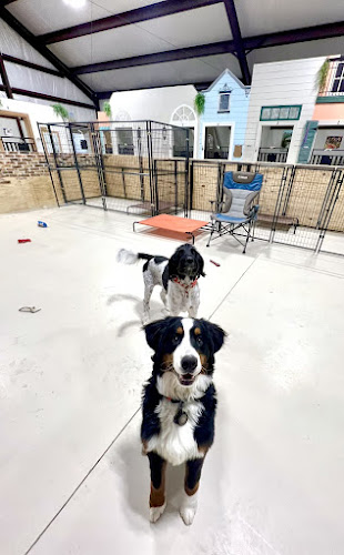 Stage Coach Pet Resort
