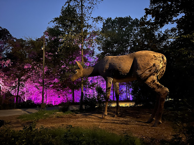 Deer Sculpture - Tony Tasset