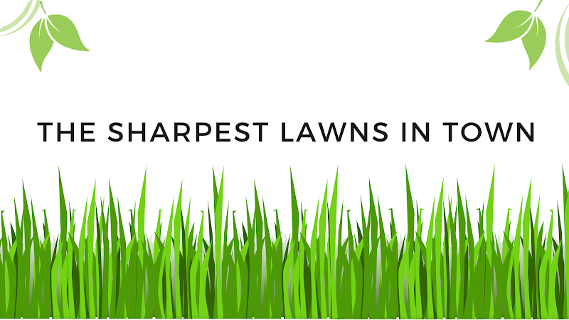 Ninja Blades Lawn Service