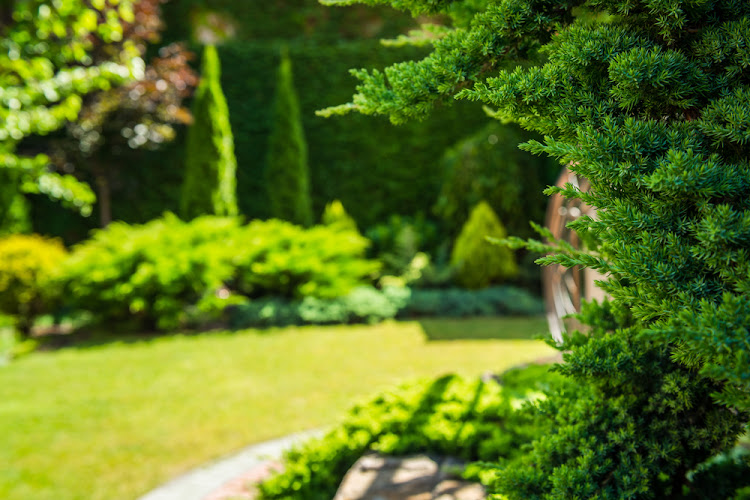 Chanky LLC Lawncare & Landscaping