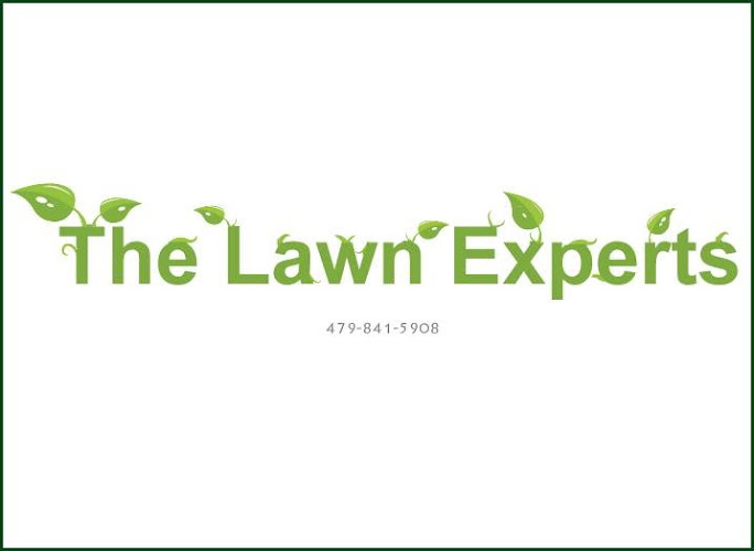 The Lawn Experts