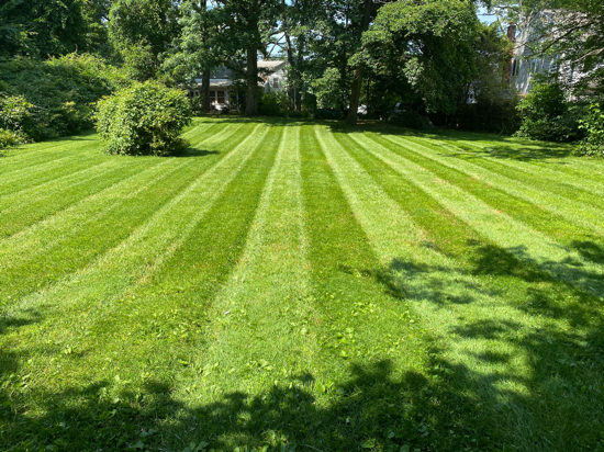 Clean and Green Lawns NWA