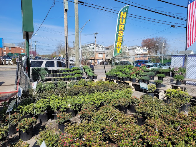 Fanelli Landscape Supply