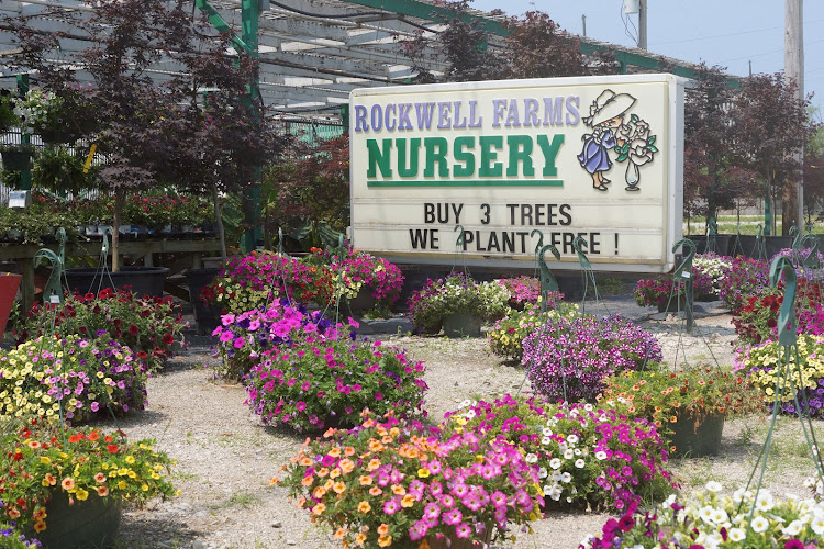 Rockwell Farms Nursery