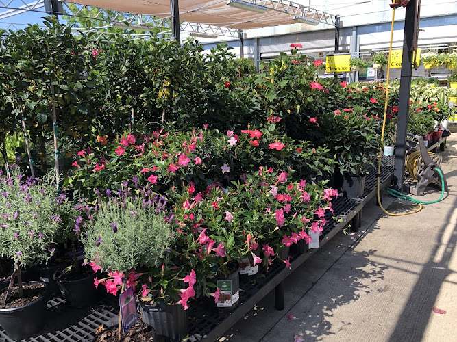 Walmart Garden Center
