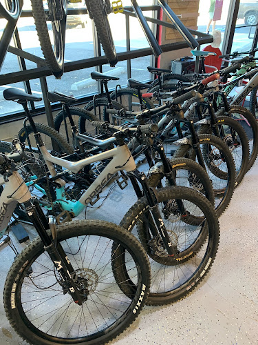 Mojo Bike Rentals