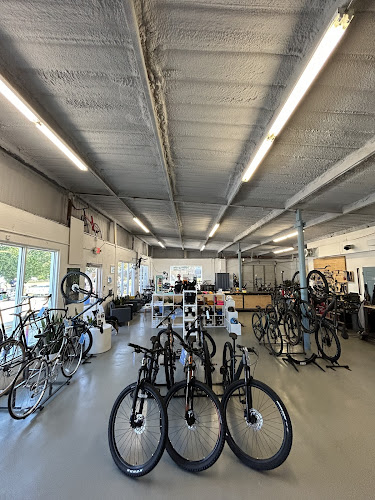 Magnolia Cycles
